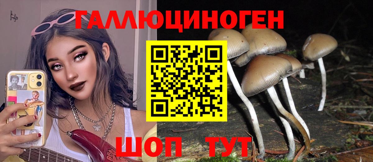 Псилоцибиновые грибы мицелий  Галлюциногенные грибы MAGIC MUSHROOMS  Вход с VPN  Новочеркасск 