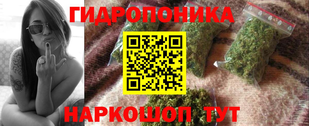 Марихуана планчик Новочеркасск